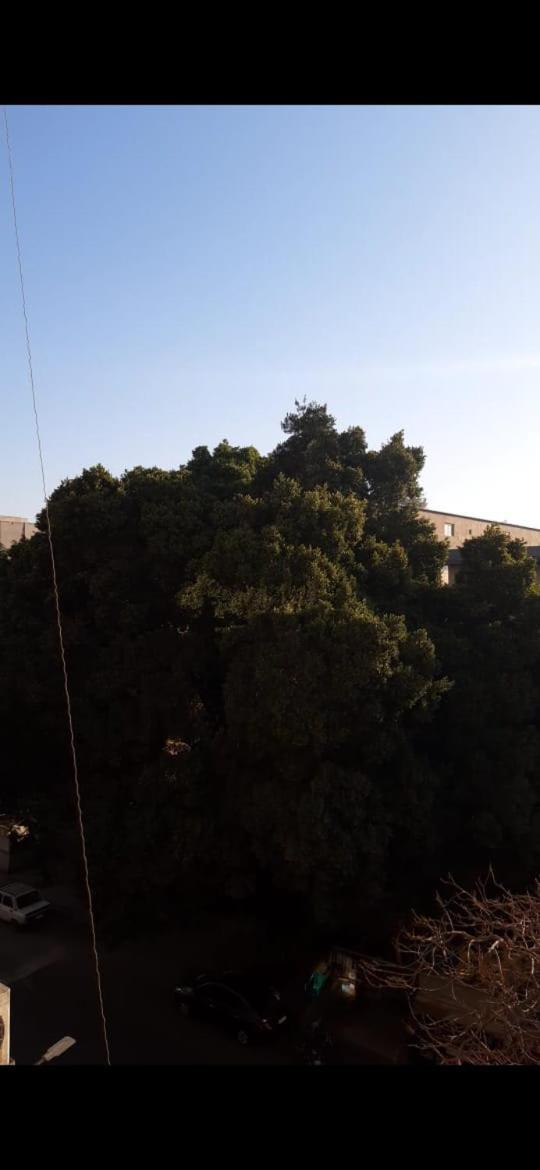Homestay Al Doki Comfort - Males Only Cairo